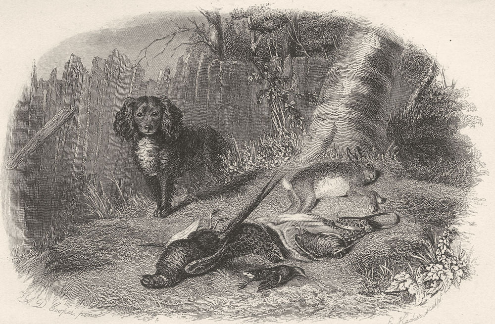 DOGS. Spaniel & Game. Good steel engraving. Vignette. (Edward Jesse) 1858